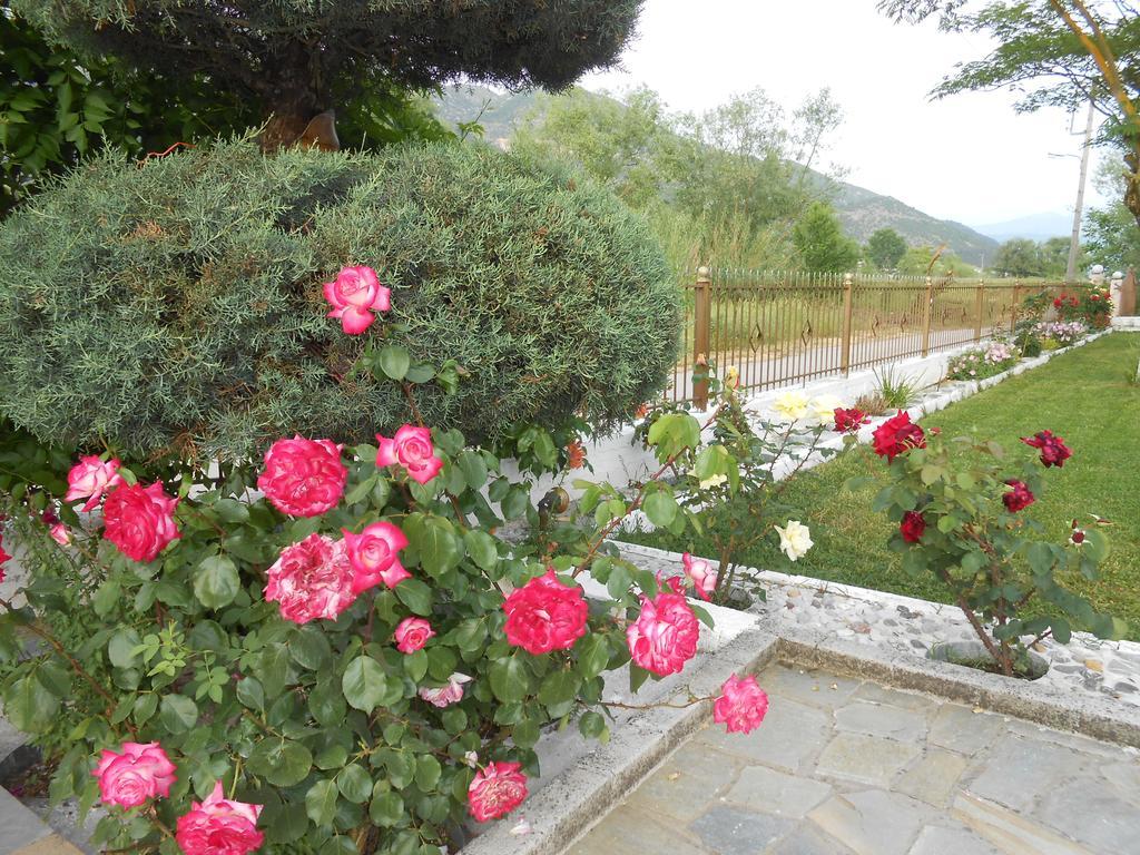 יואנינה Zisis Garden Studios מראה חיצוני תמונה