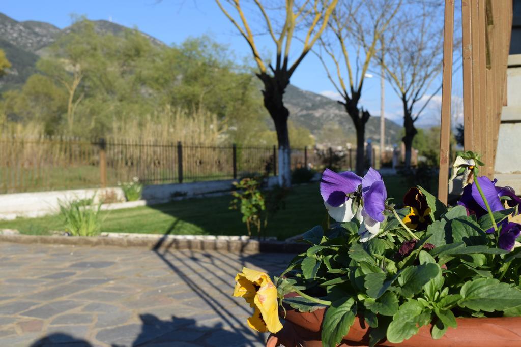 יואנינה Zisis Garden Studios מראה חיצוני תמונה