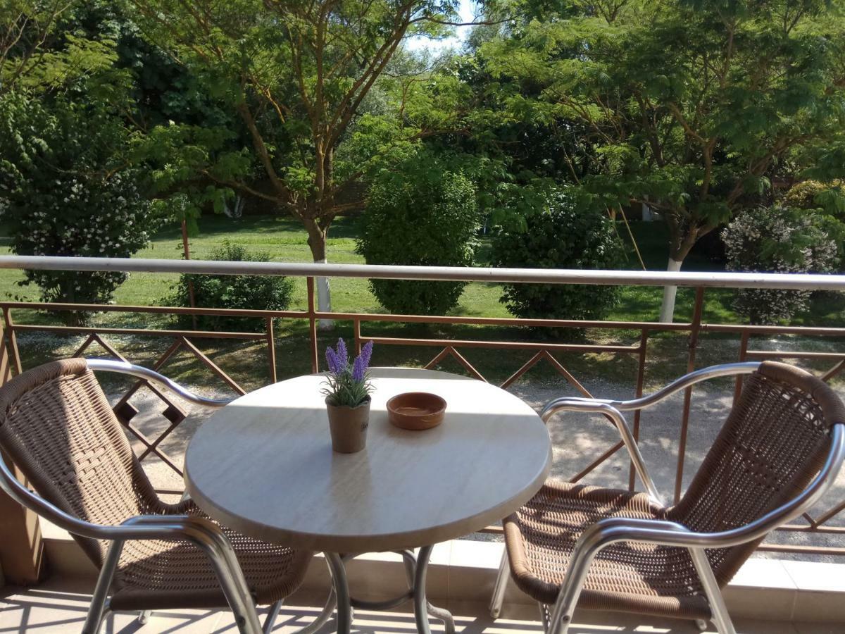 יואנינה Zisis Garden Studios מראה חיצוני תמונה